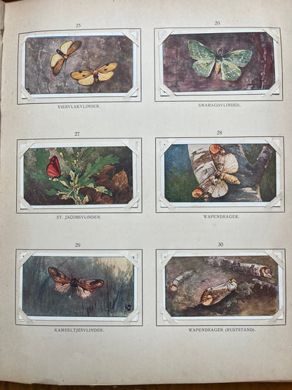 Losse Verkade plaatjes Blonde Duinen (1910) 25-29