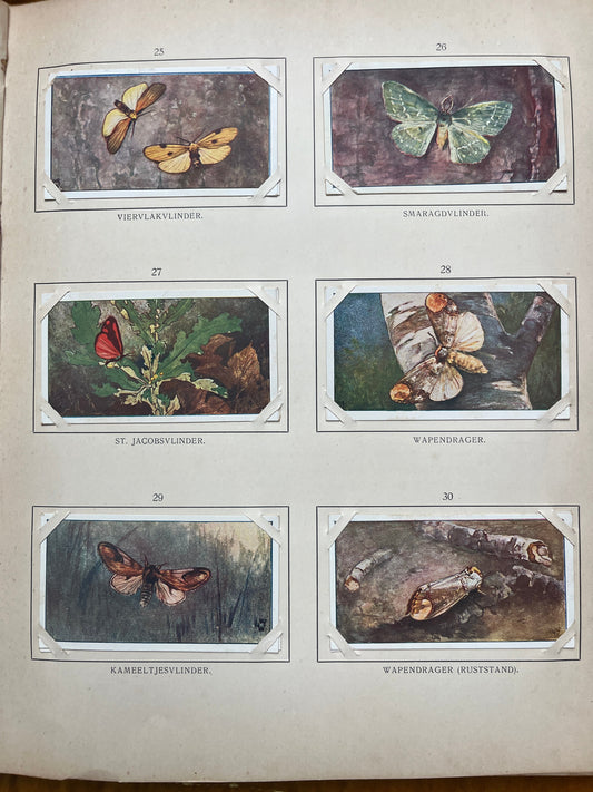 Losse Verkade plaatjes Blonde Duinen (1910) 25-29