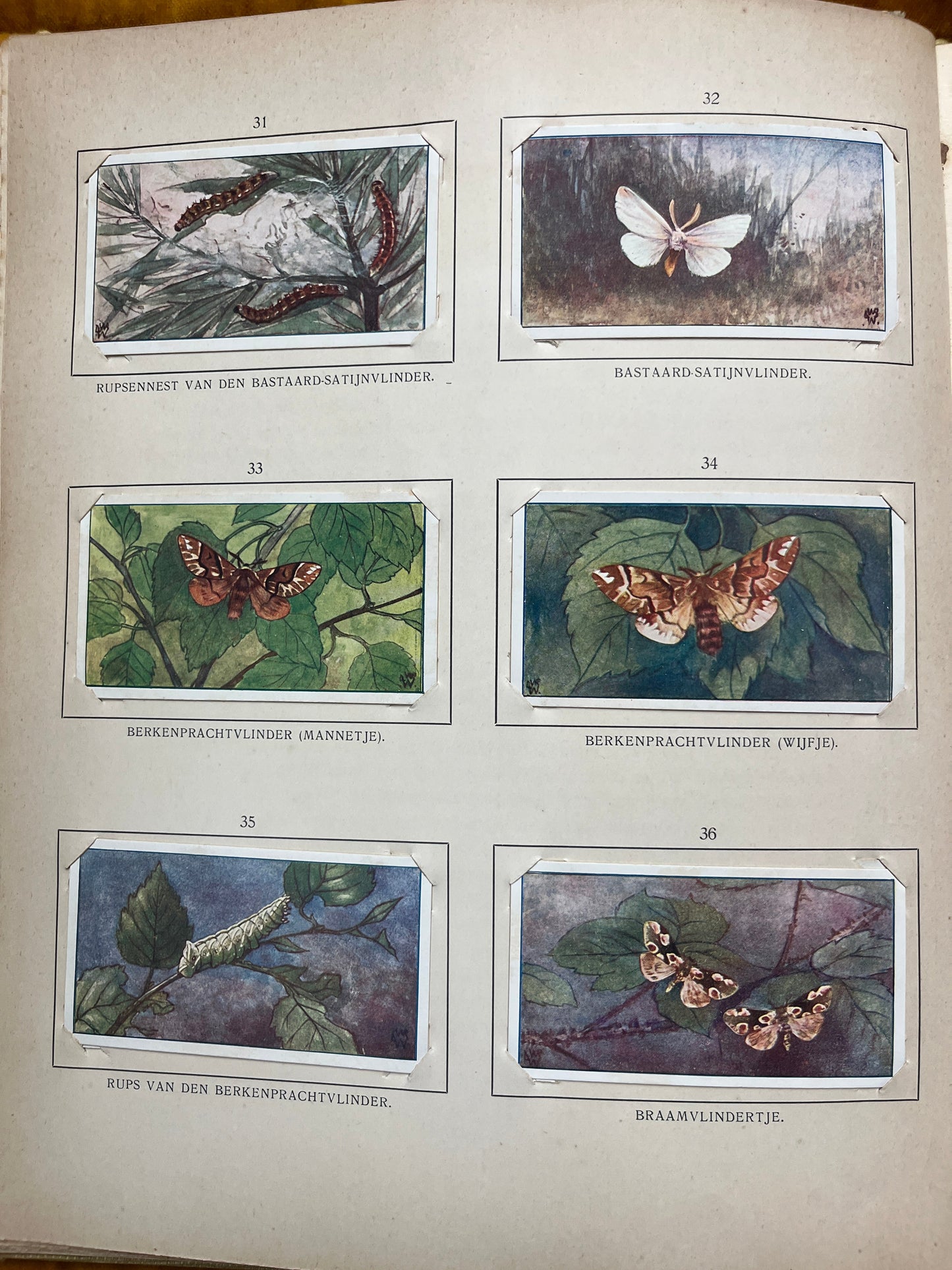 Losse Verkade plaatjes Blonde Duinen (1910) 31-36