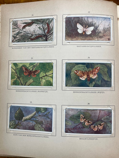 Losse Verkade plaatjes Blonde Duinen (1910) 31-36