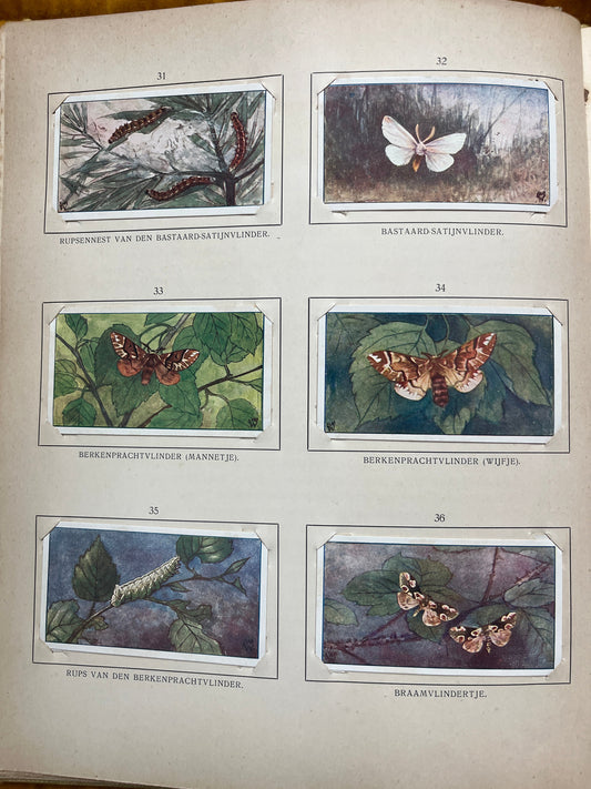 Losse Verkade plaatjes Blonde Duinen (1910) 31-36