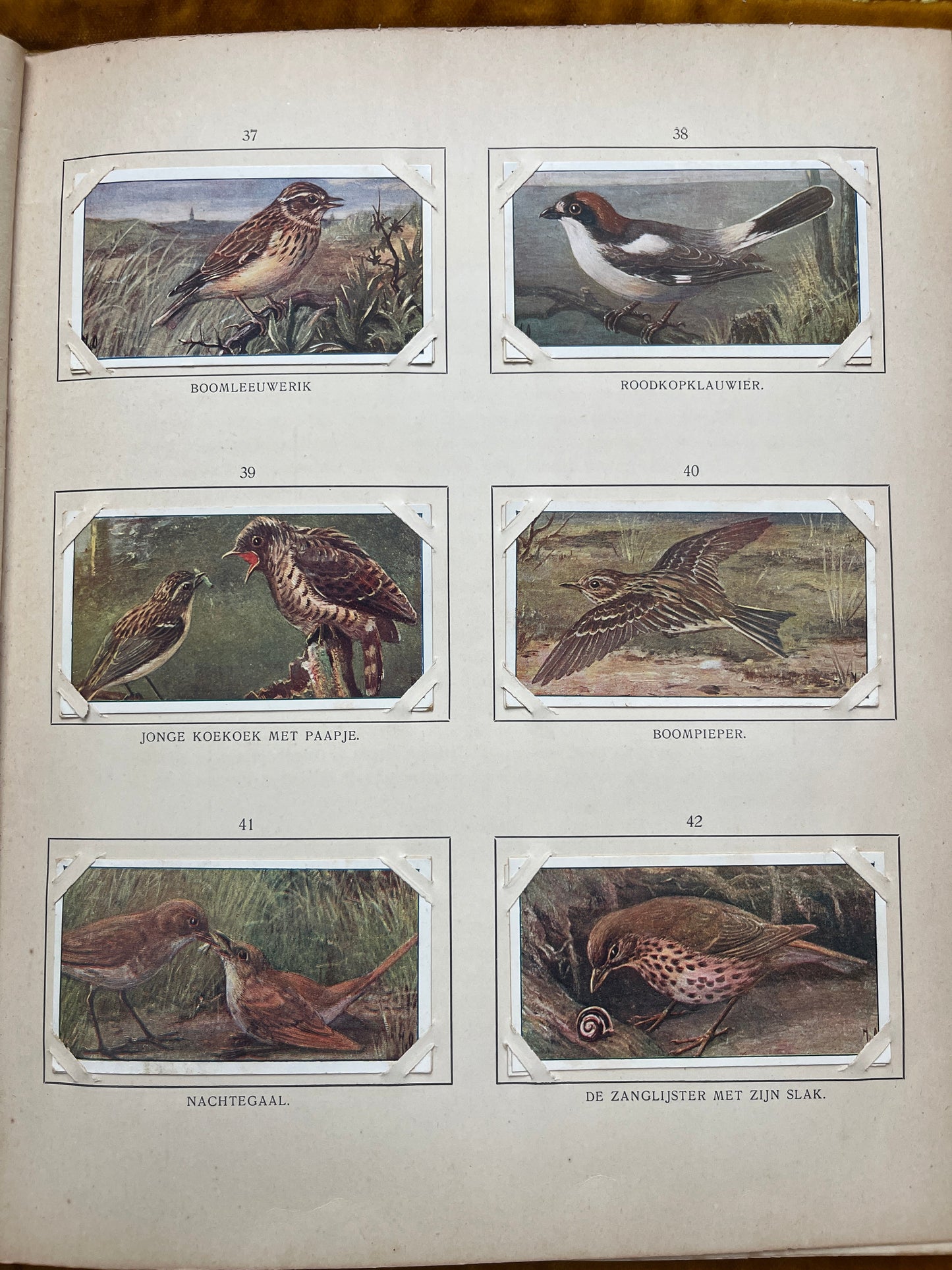 Losse Verkade plaatjes Blonde Duinen (1910) 37-42