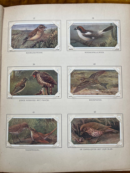 Losse Verkade plaatjes Blonde Duinen (1910) 37-42