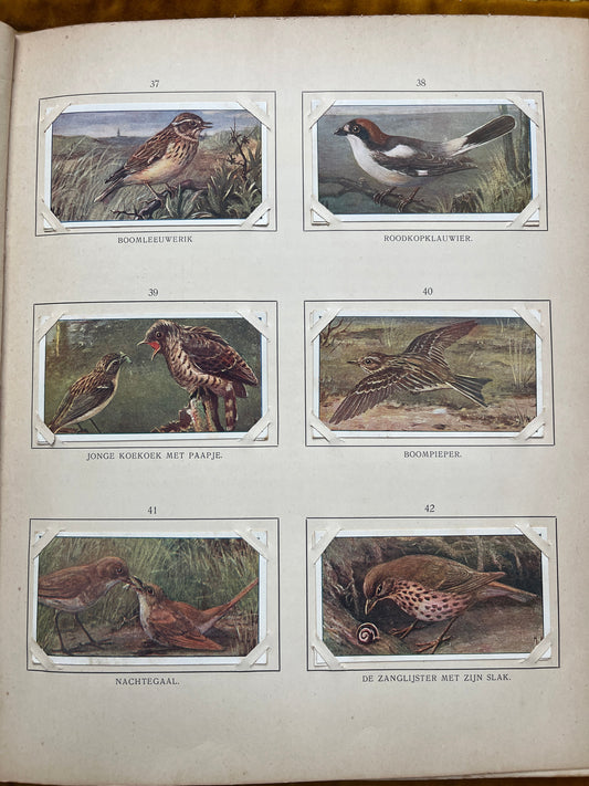 Losse Verkade plaatjes Blonde Duinen (1910) 37-42