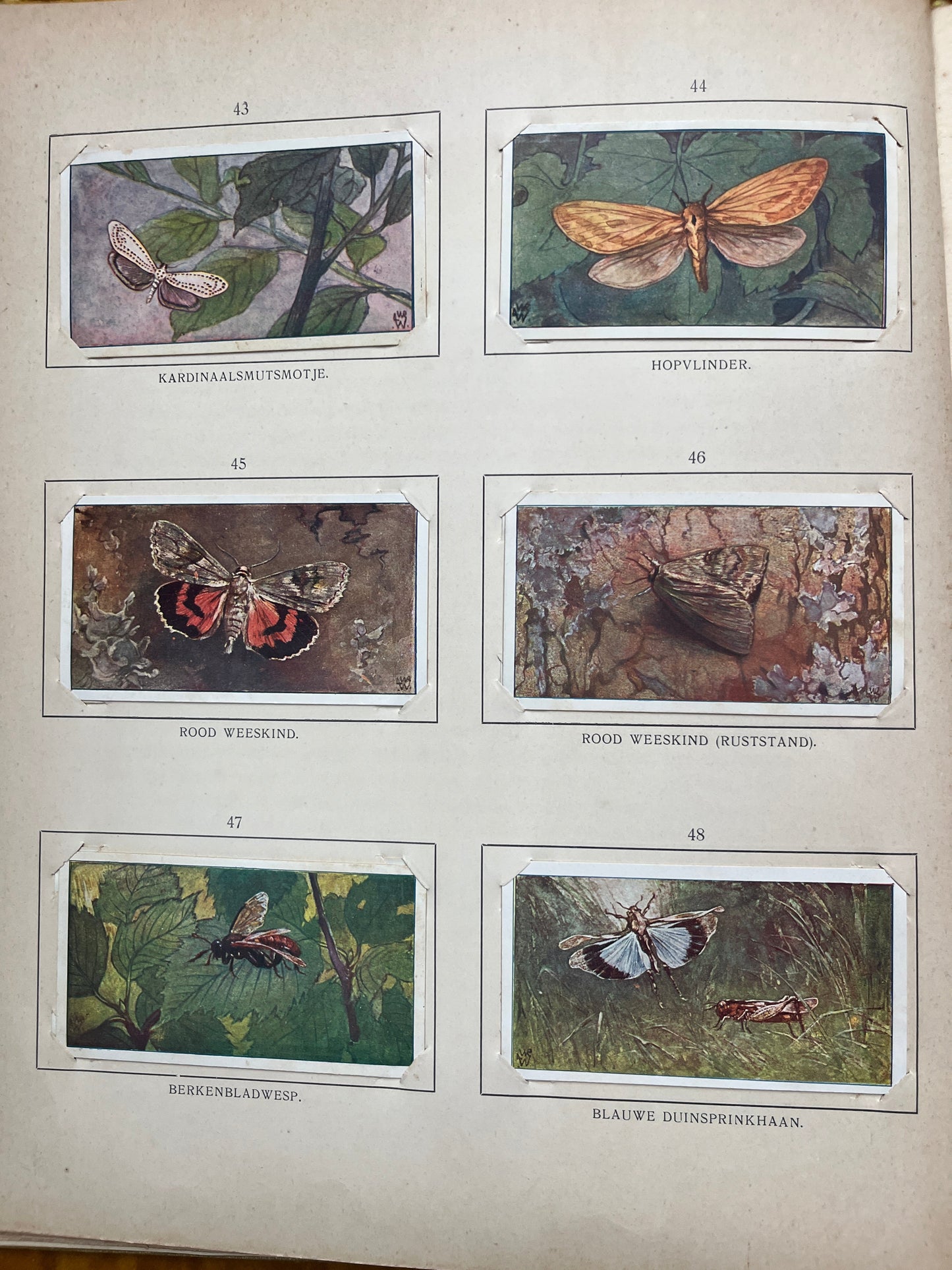 Losse Verkade plaatjes Blonde Duinen (1910) 43-48