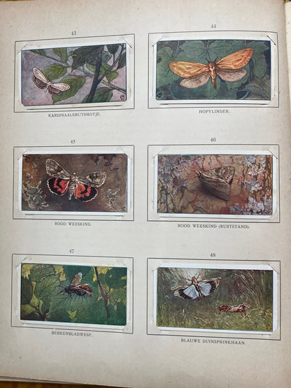 Losse Verkade plaatjes Blonde Duinen (1910) 43-48