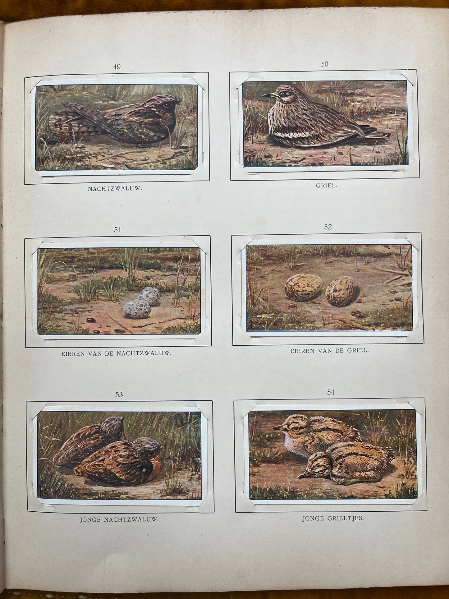 Losse Verkade plaatjes Blonde Duinen (1910) 49-54