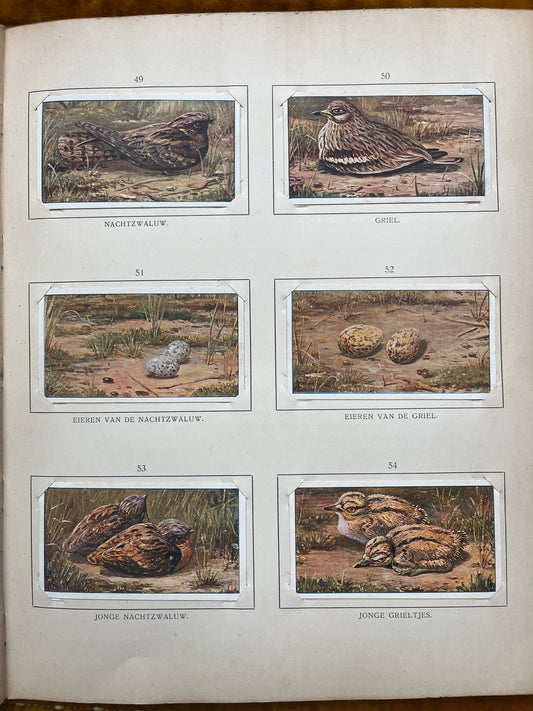 Losse Verkade plaatjes Blonde Duinen (1910) 49-54