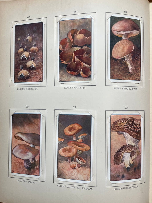 Losse Verkade plaatjes Blonde Duinen (1910) 67-72