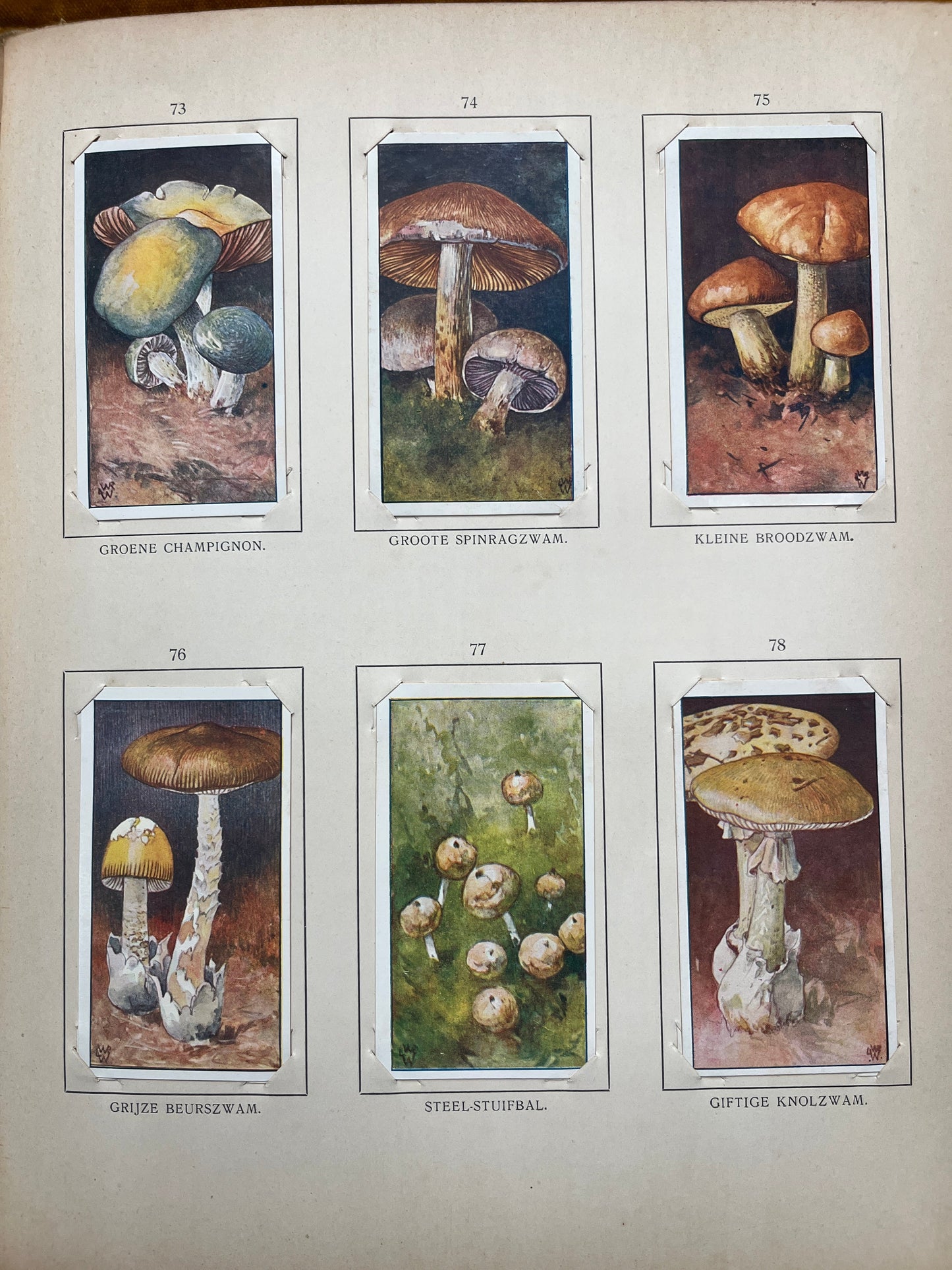 Losse Verkade plaatjes Blonde Duinen (1910) 73-78