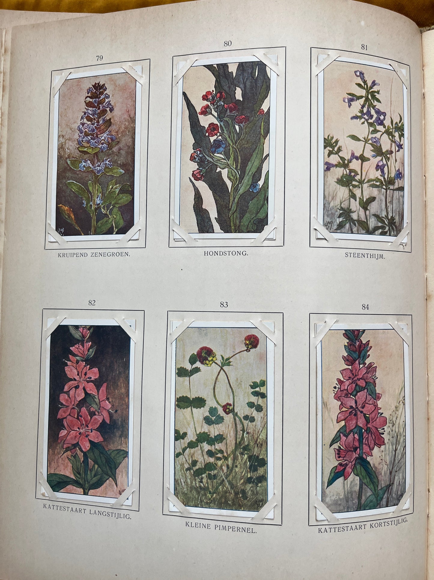 Losse Verkade plaatjes Blonde Duinen (1910) 79-84