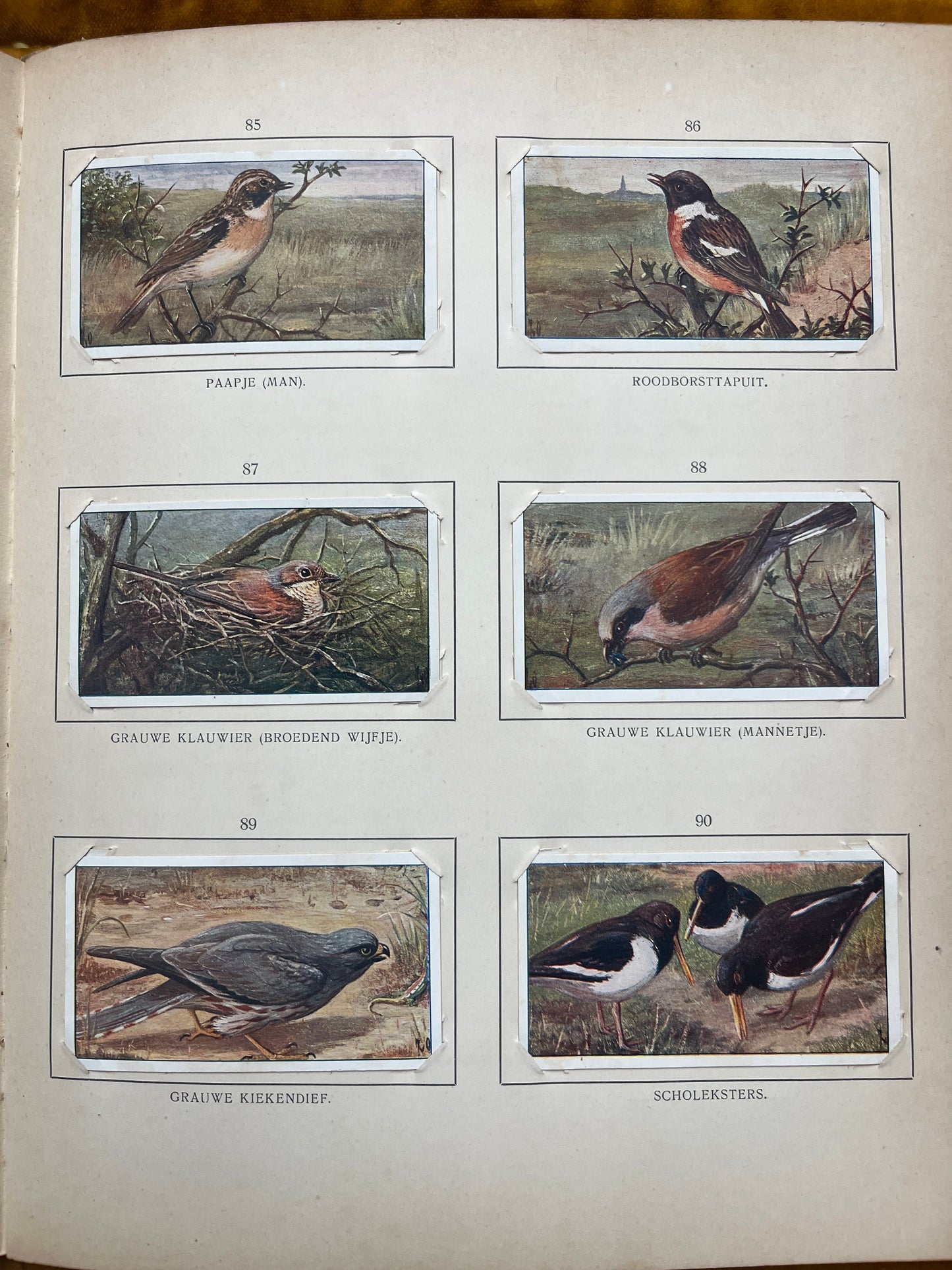 Losse Verkade plaatjes Blonde Duinen (1910) 85-90