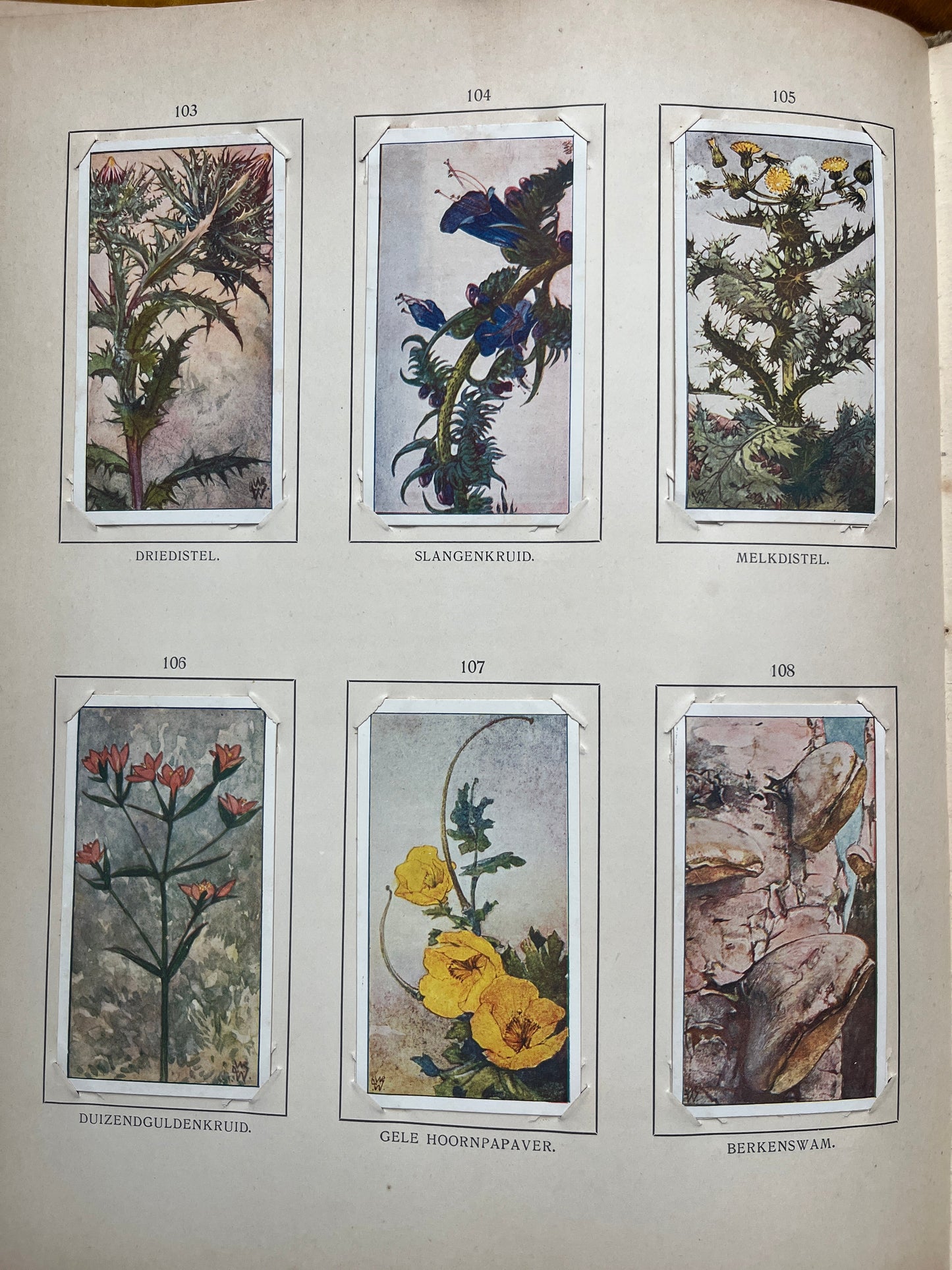 Losse Verkade plaatjes Blonde Duinen (1910) 103-108