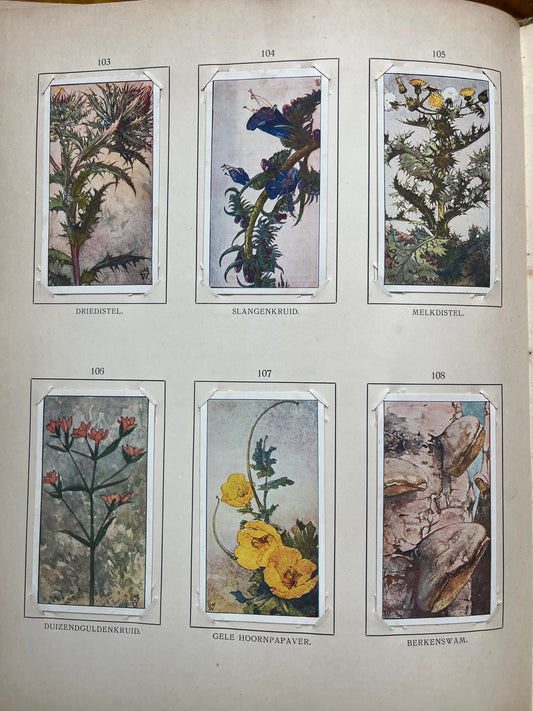 Losse Verkade plaatjes Blonde Duinen (1910) 103-108