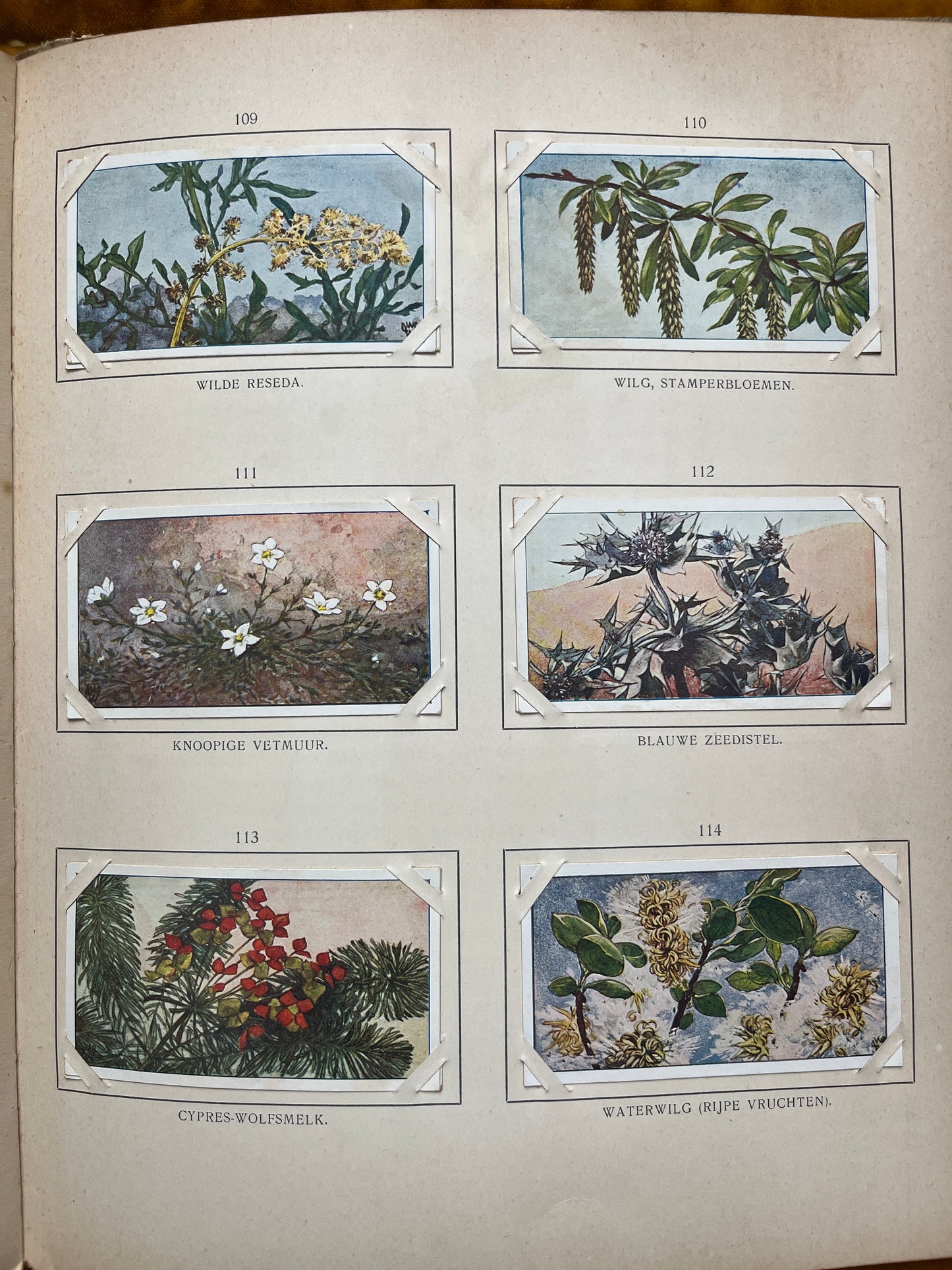 Losse Verkade plaatjes Blonde Duinen (1910) 109-114