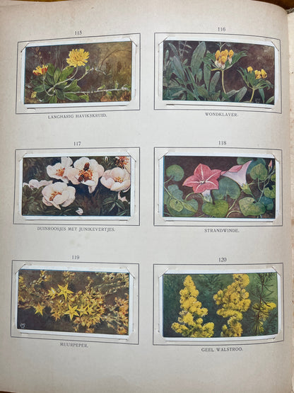 Losse Verkade plaatjes Blonde Duinen (1910) 115-120