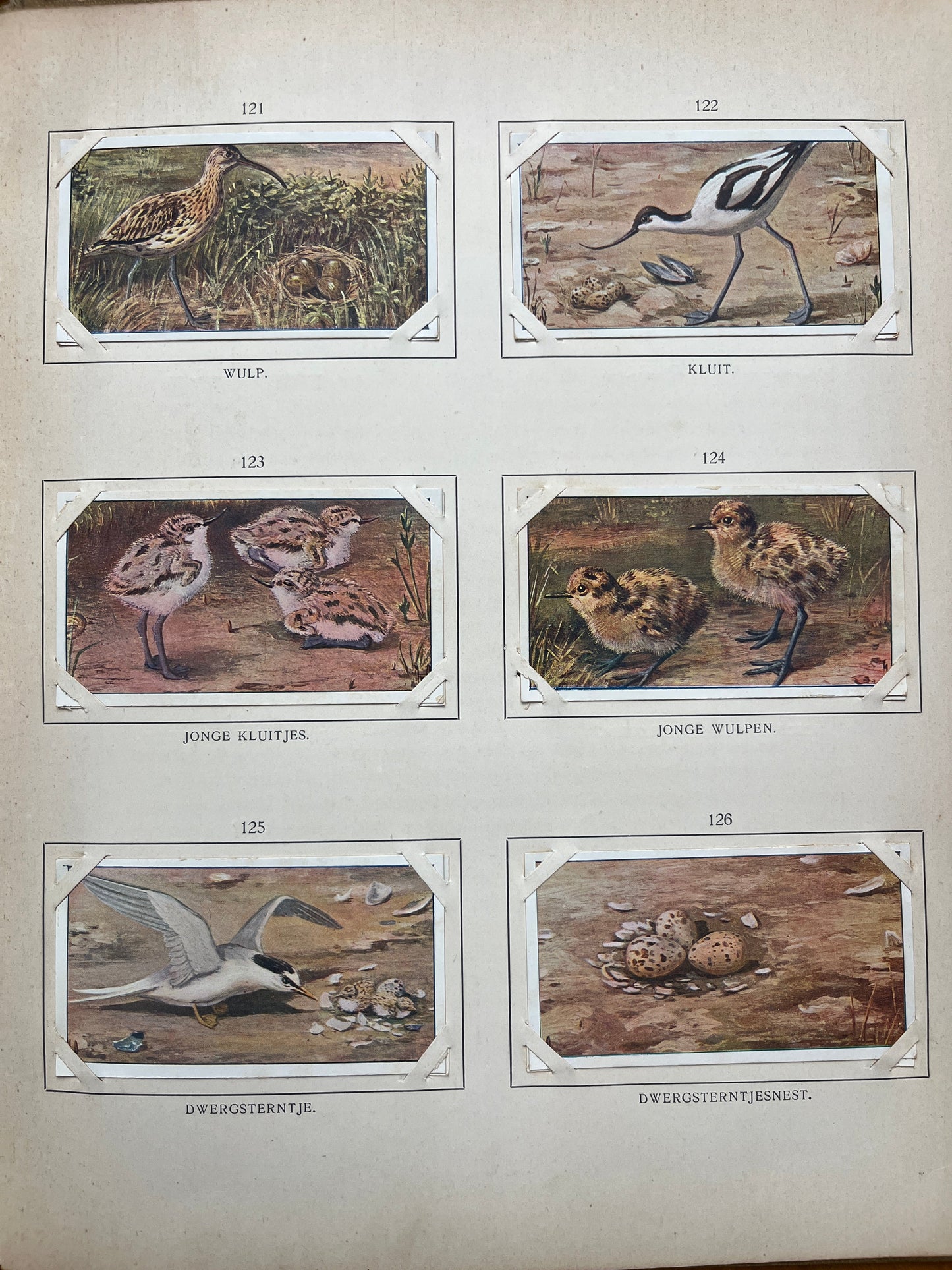 Losse Verkade plaatjes Blonde Duinen (1910) 121-126