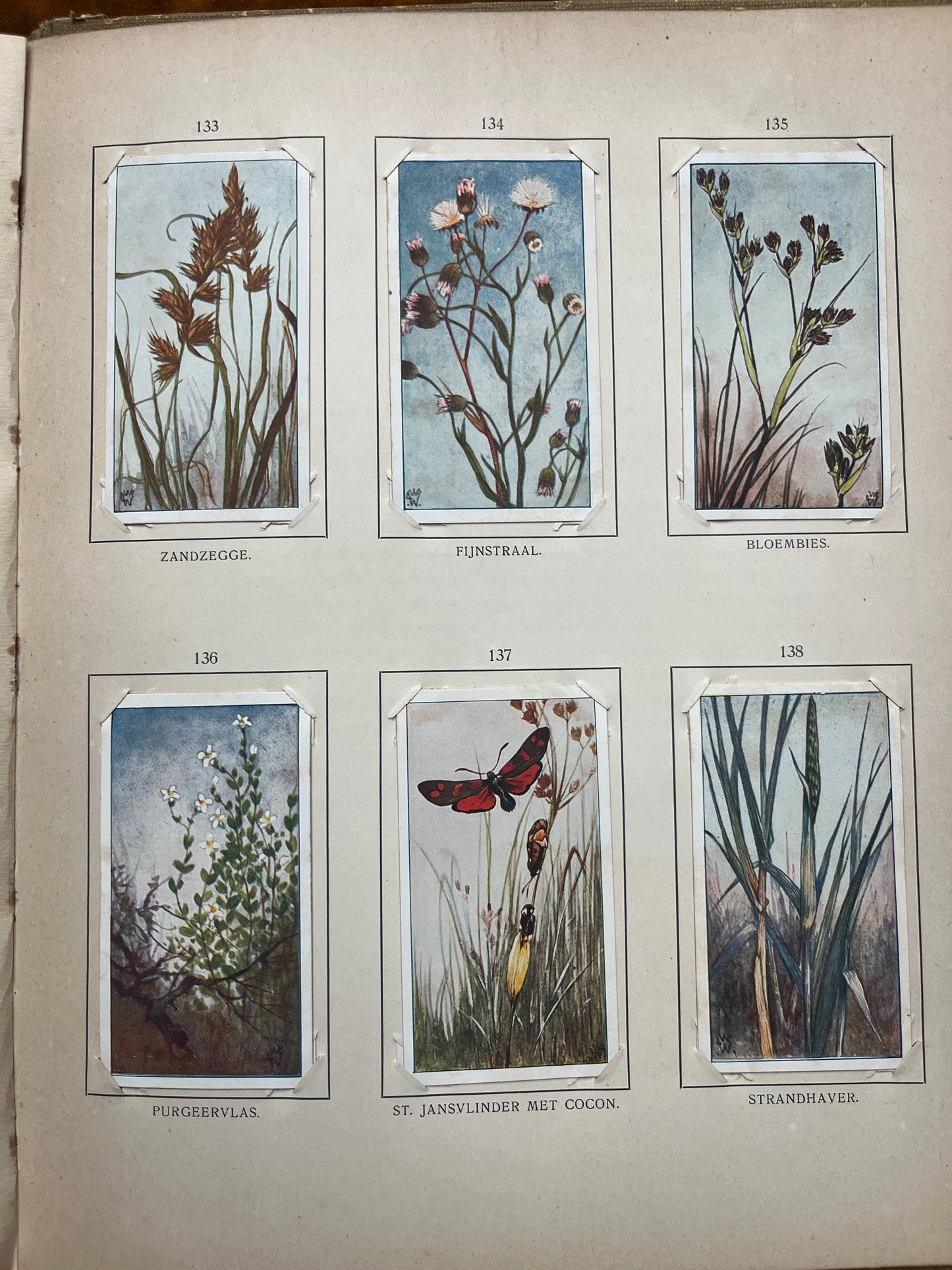 Losse Verkade plaatjes Blonde Duinen (1910) 133-138