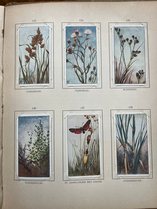 Losse Verkade plaatjes Blonde Duinen (1910) 133-138