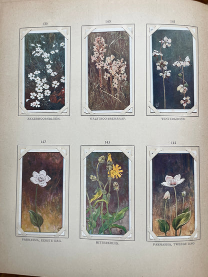 Losse Verkade plaatjes Blonde Duinen (1910) 139-144