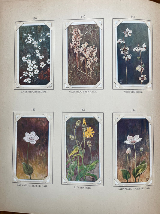 Losse Verkade plaatjes Blonde Duinen (1910) 139-144