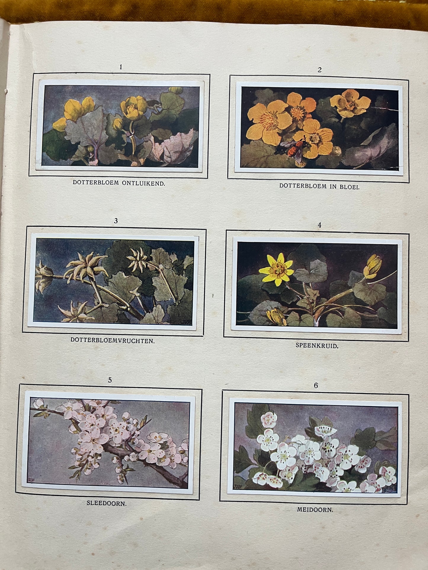 Losse Verkade plaatjes De Bonte Wei (1911) 1-6