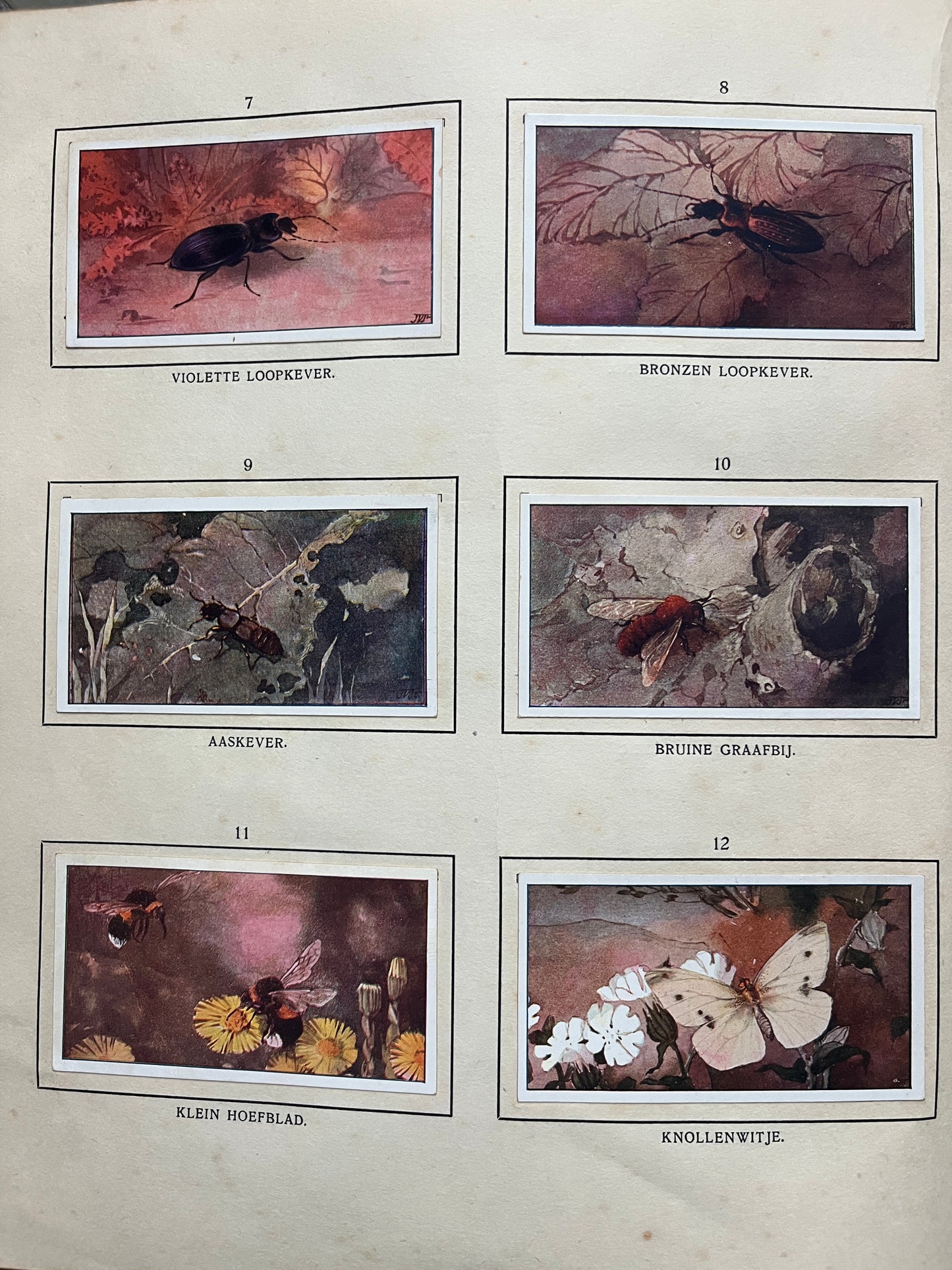 Losse Verkade plaatjes De Bonte Wei (1911) 7-12