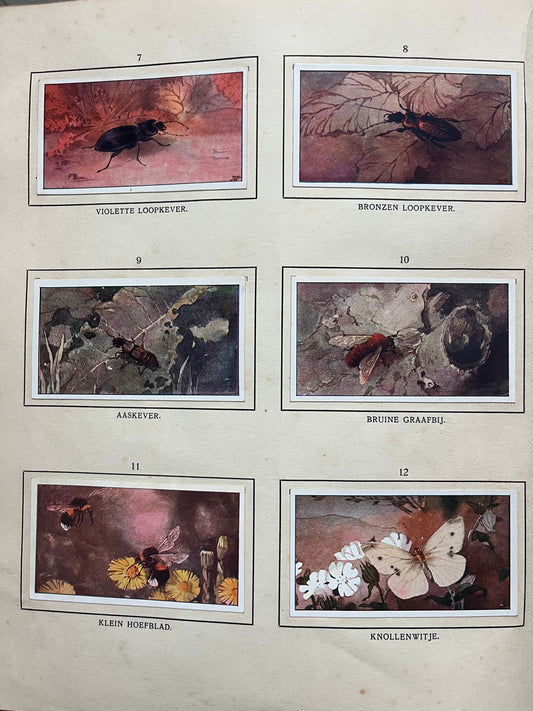 Losse Verkade plaatjes De Bonte Wei (1911) 7-12