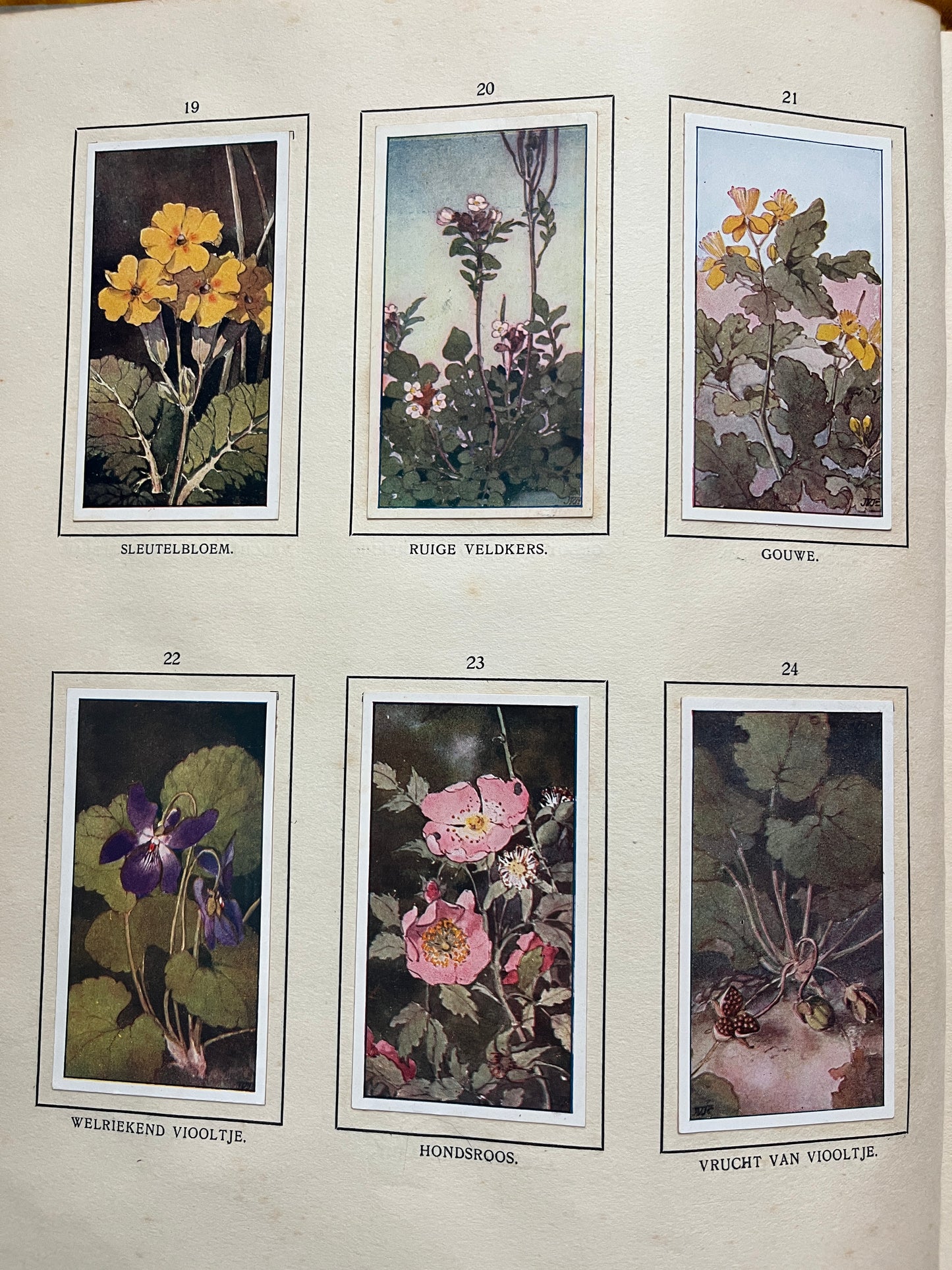 Losse Verkade plaatjes De Bonte Wei (1911) 19-24