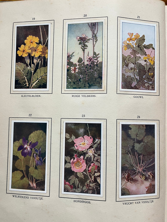 Losse Verkade plaatjes De Bonte Wei (1911) 19-24