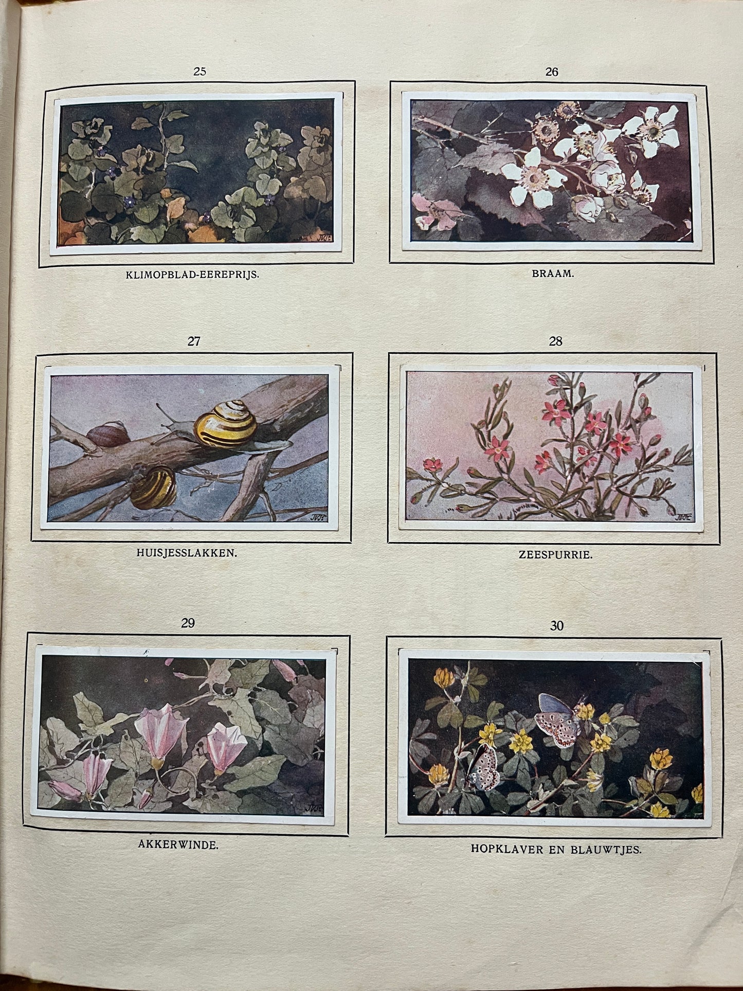 Losse Verkade plaatjes De Bonte Wei (1911) 25-29