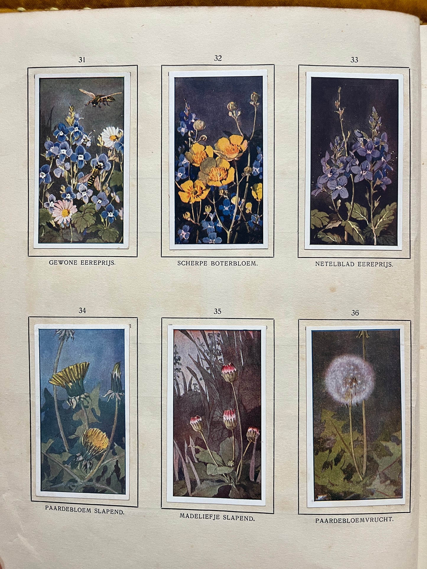 Losse Verkade plaatjes De Bonte Wei (1911) 31-36