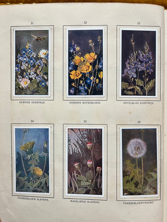 Losse Verkade plaatjes De Bonte Wei (1911) 31-36