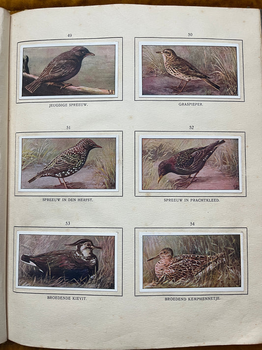 Losse Verkade plaatjes De Bonte Wei (1911) 49-54