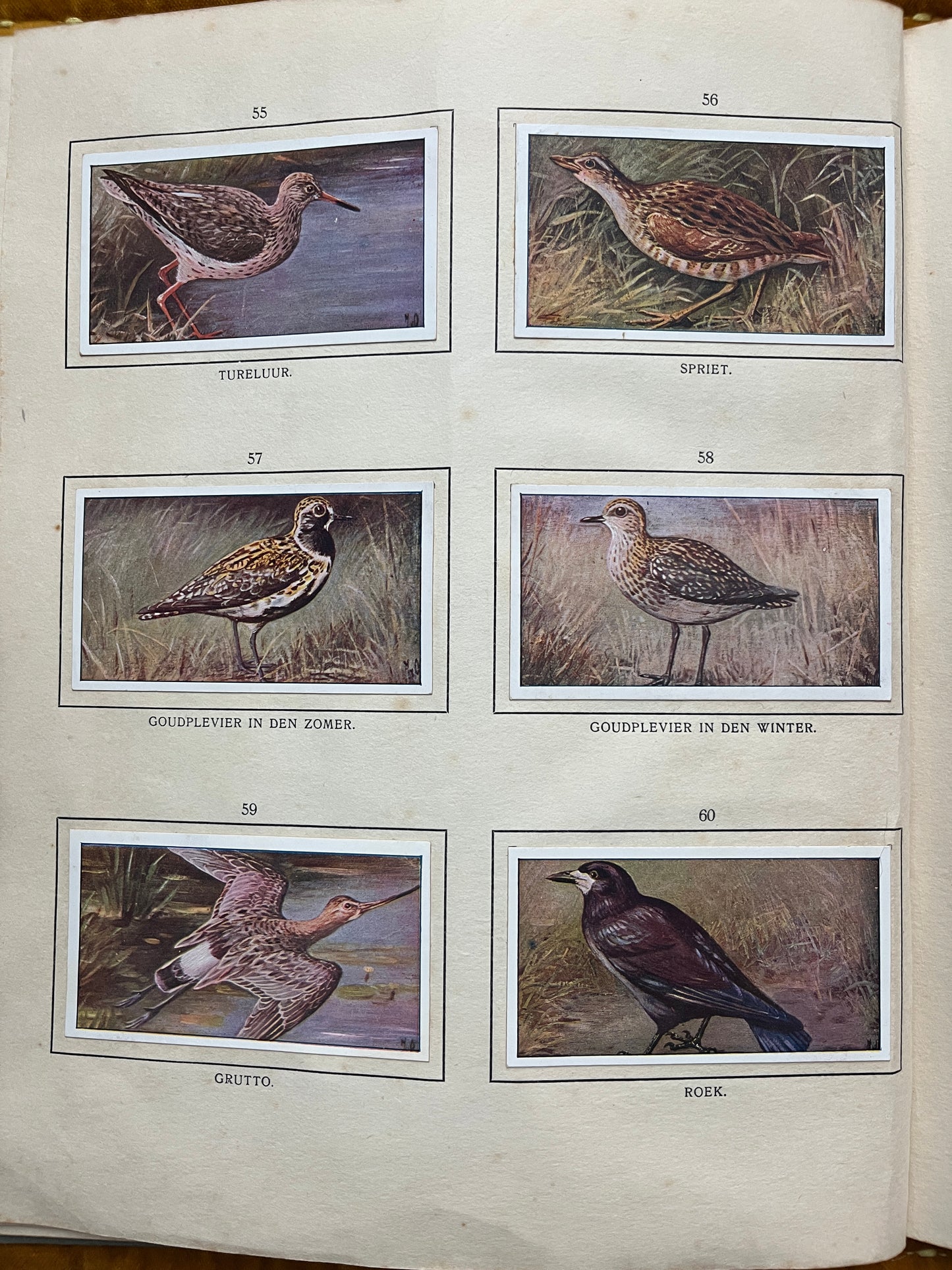 Losse Verkade plaatjes De Bonte Wei (1911) 55-60