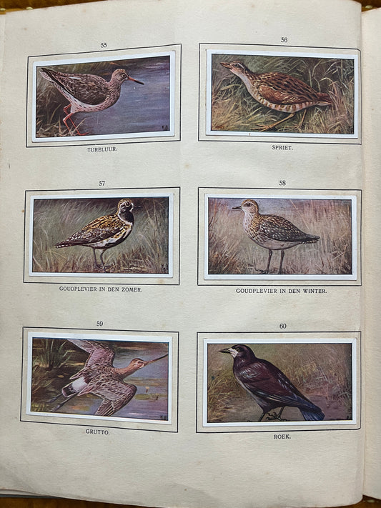 Losse Verkade plaatjes De Bonte Wei (1911) 55-60