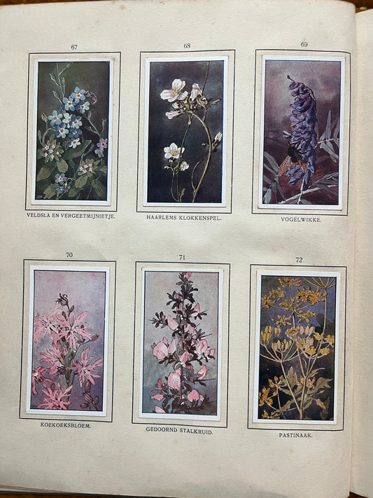 Losse Verkade plaatjes De Bonte Wei (1911) 67-72