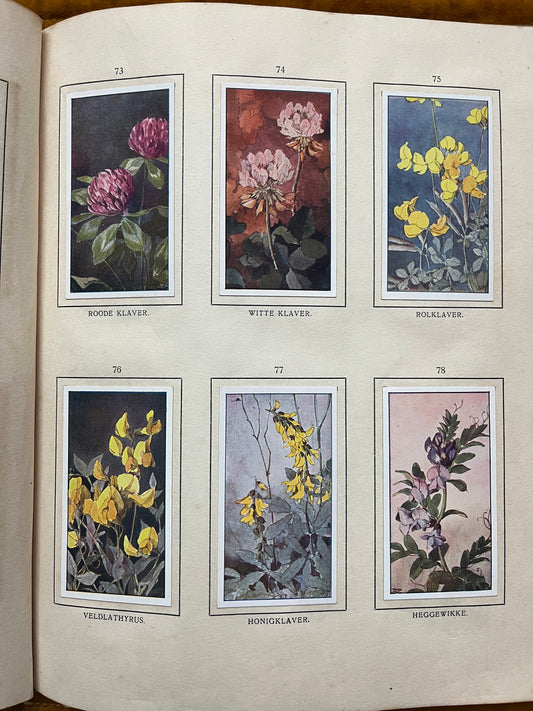 Losse Verkade plaatjes De Bonte Wei (1911) 73-78