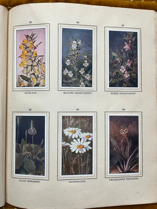 Losse Verkade plaatjes De Bonte Wei (1911) 85-90