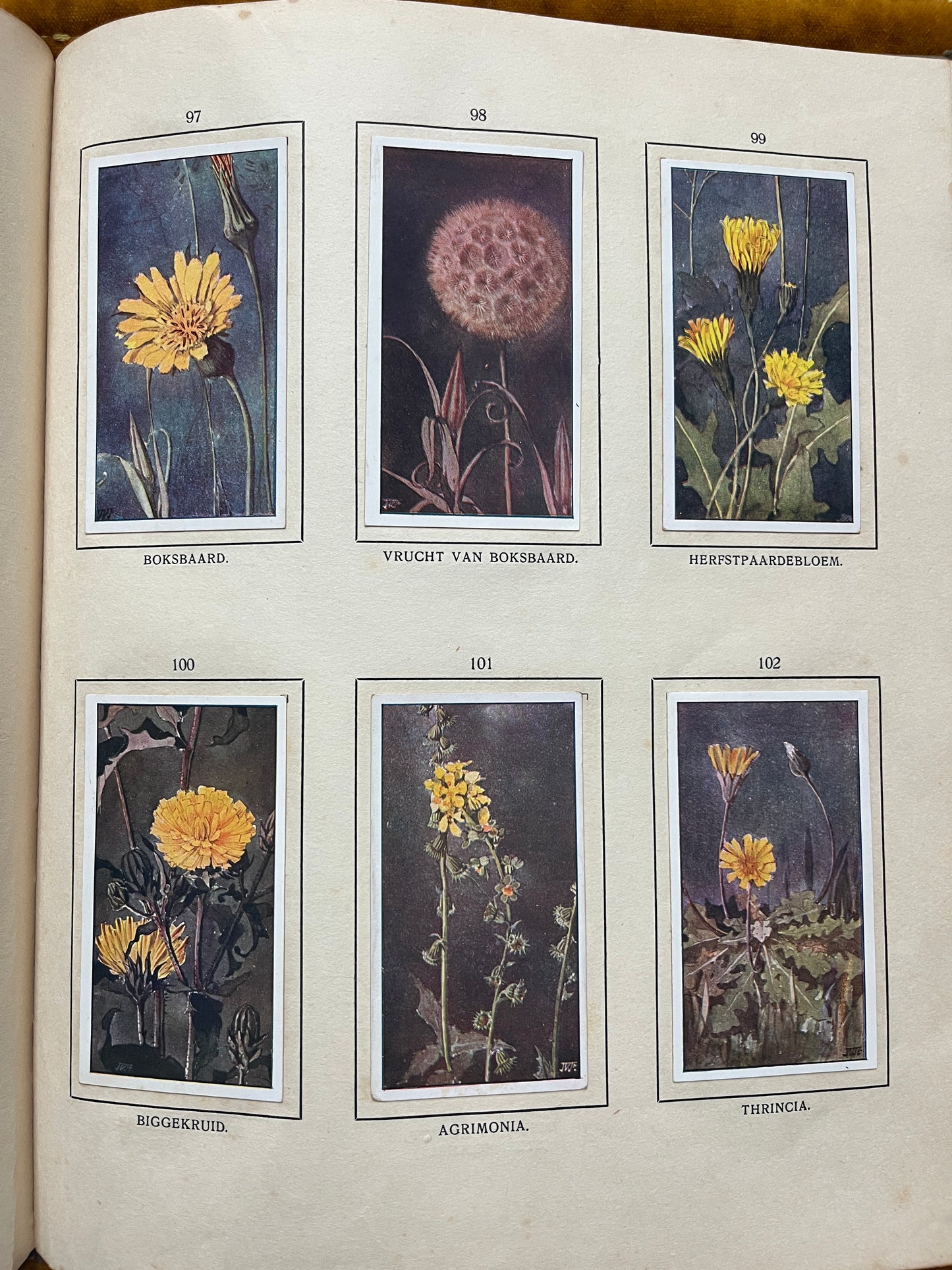 Losse Verkade plaatjes De Bonte Wei (1911) 97-102