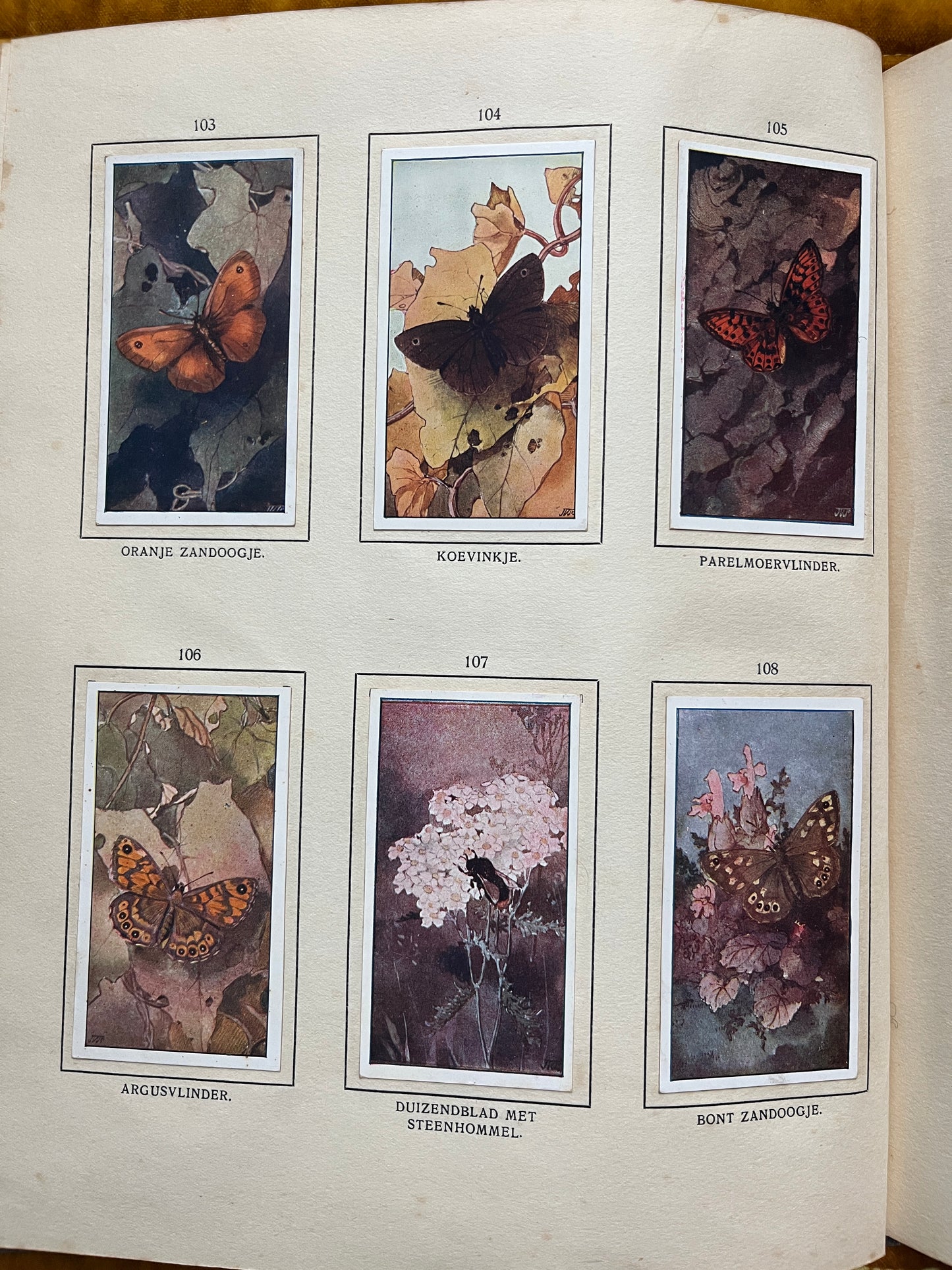 Losse Verkade plaatjes De Bonte Wei (1911) 103-108