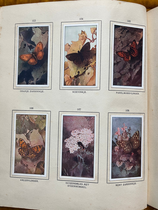 Losse Verkade plaatjes De Bonte Wei (1911) 103-108