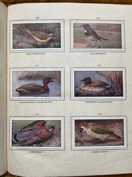 Losse Verkade plaatjes De Bonte Wei (1911) 109-114