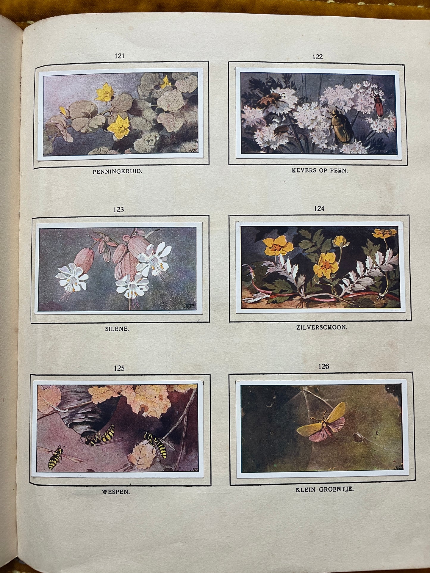 Losse Verkade plaatjes De Bonte Wei (1911) 121-126