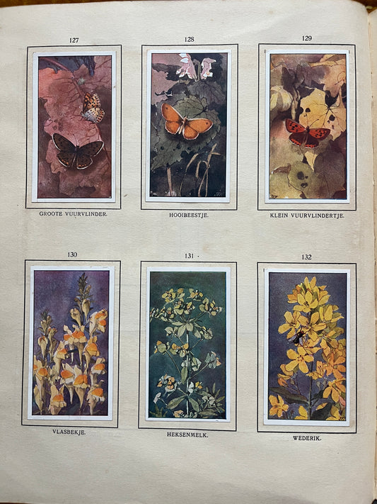 Losse Verkade plaatjes De Bonte Wei (1911) 127-132