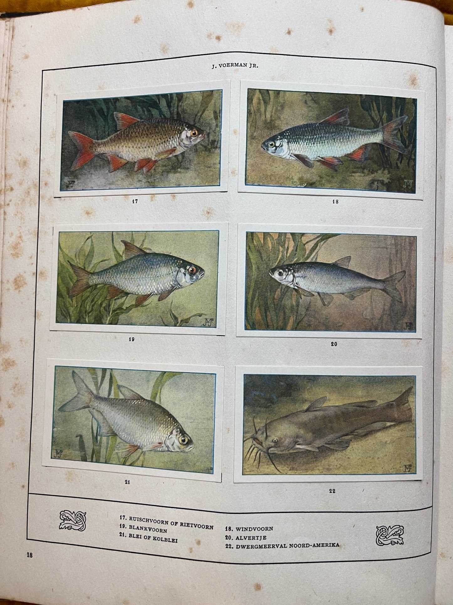 Losse Verkade plaatjes Mijn Aquarium (1925) 17-22