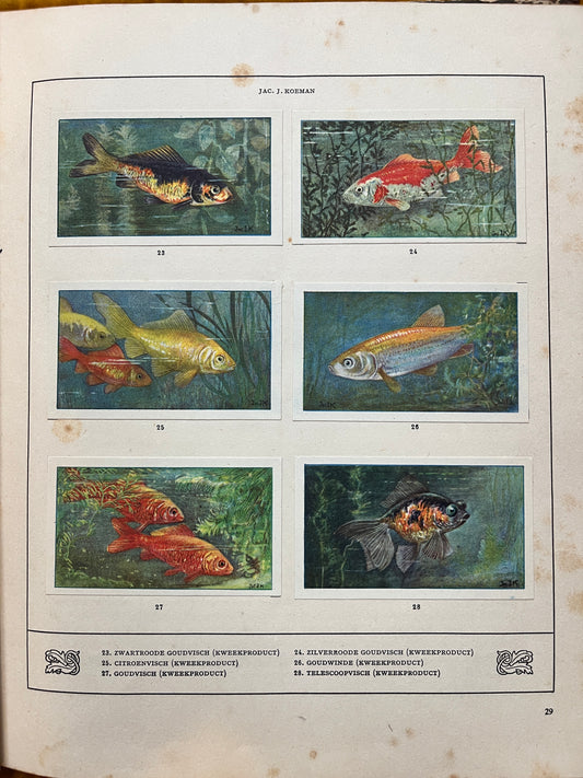 Losse Verkade plaatjes Mijn Aquarium (1925) 23-28