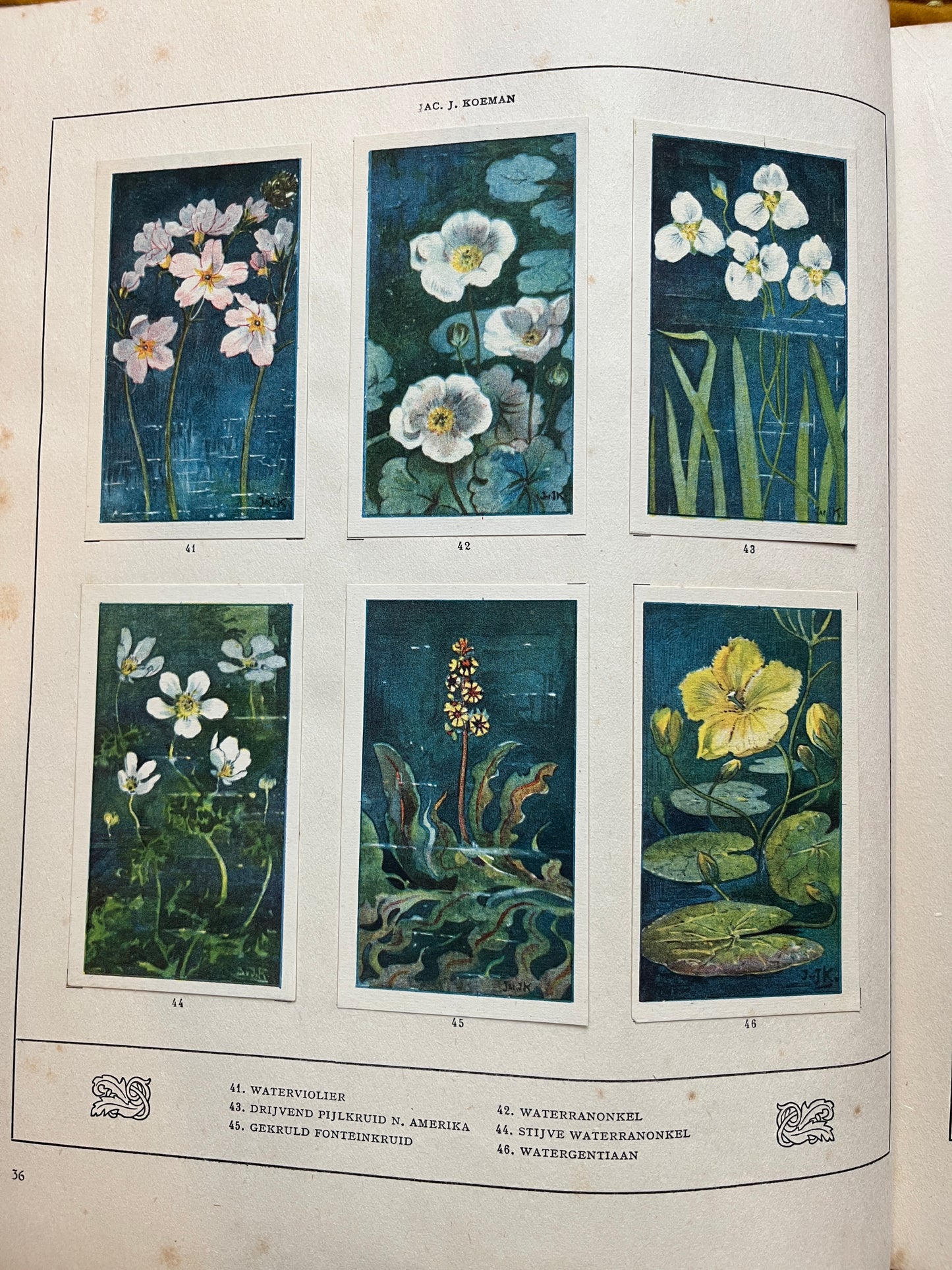 Losse Verkade plaatjes Mijn Aquarium (1925) 41-46