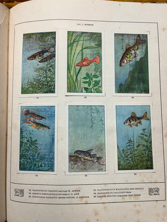 Losse Verkade plaatjes Mijn Aquarium (1925) 81-86