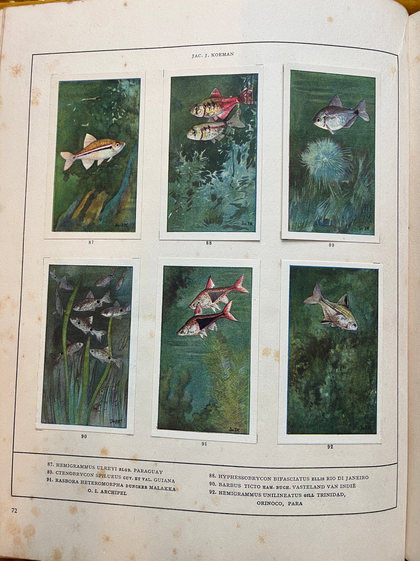Losse Verkade plaatjes Mijn Aquarium (1925) 87-92